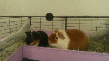 Demander une garde Demander une garde